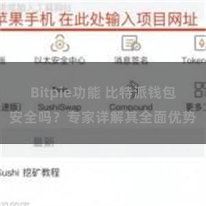 Bitpie功能 比特派钱包安全吗？专家详解其全面优势