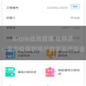 Bitpie在线管理 比特派：全方位保护用户数字资产安全