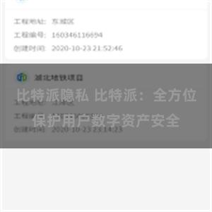 比特派隐私 比特派：全方位保护用户数字资产安全