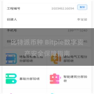 比特派币种 Bitpie数字资产安全保障指南