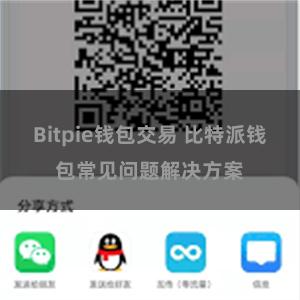 Bitpie钱包交易 比特派钱包常见问题解决方案