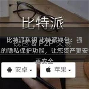 比特派私钥 比特派钱包：强大的隐私保护功能，让您资产更安全