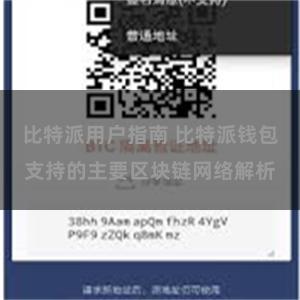 比特派用户指南 比特派钱包支持的主要区块链网络解析