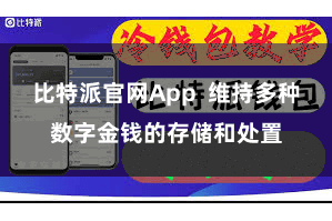比特派官网App  维持多种数字金钱的存储和处置